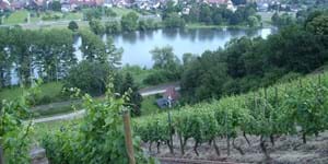 Bischoffsberg