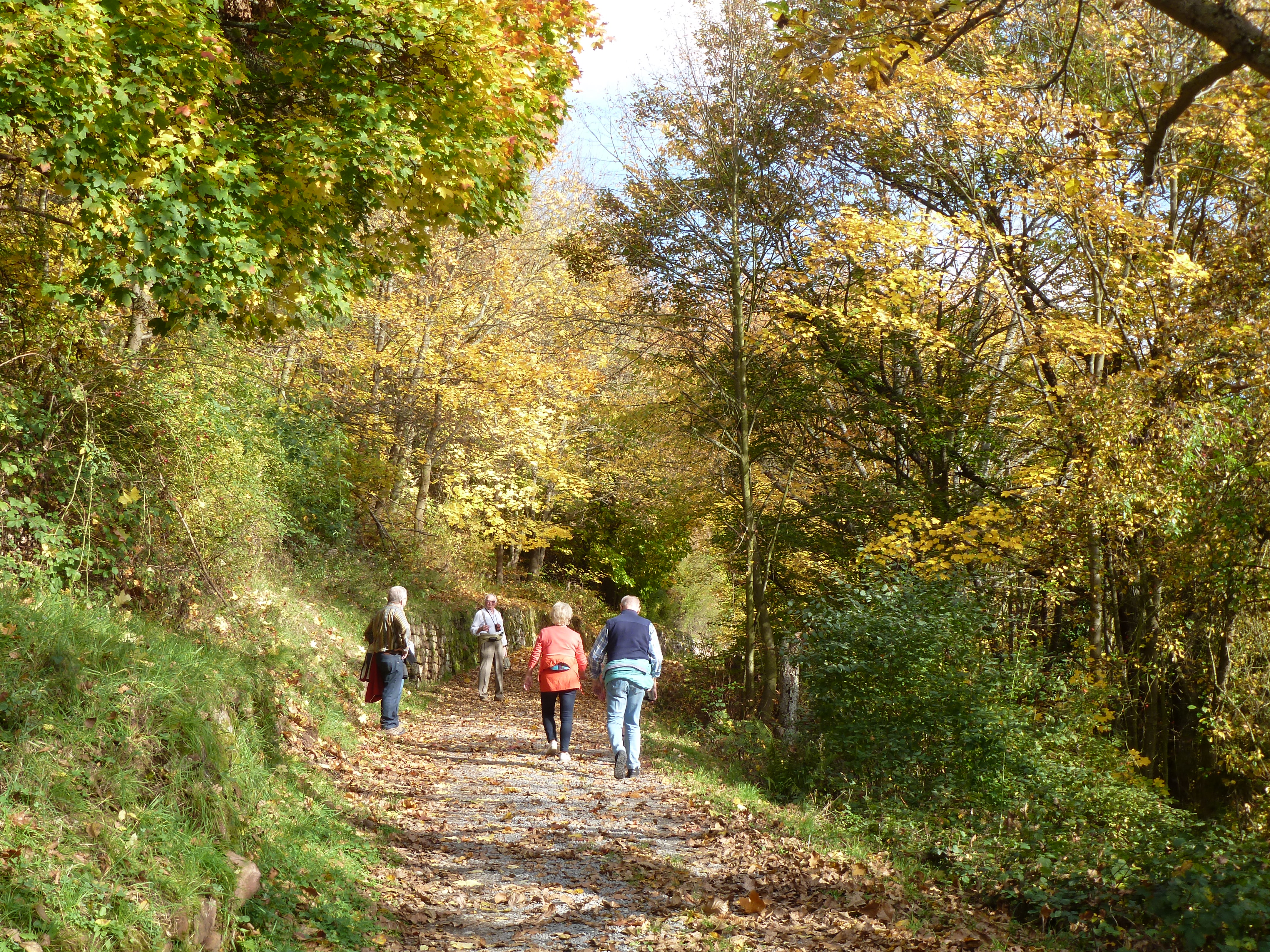 38. Weinbergswanderung