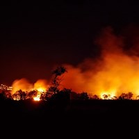 Waldbrandgefahr.jpg
