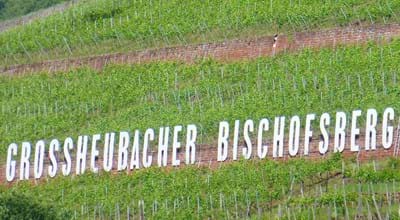 Bischofsberg