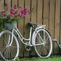 Fahrrad Deko.jpg